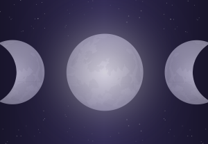 21339Moon phases – Illustration