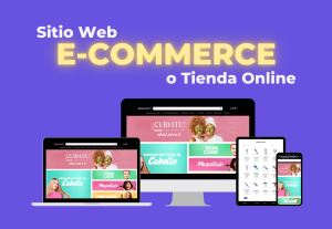 20609Diseño de Web eCommerce o Tienda Online